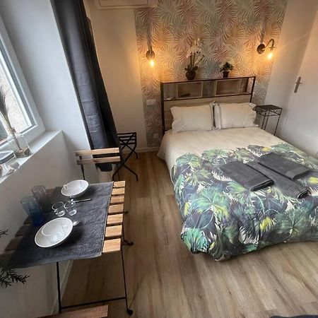 Verdi Studio Cosy Au Calme Parking Gratuit Шас-сюр-Рон Экстерьер фото