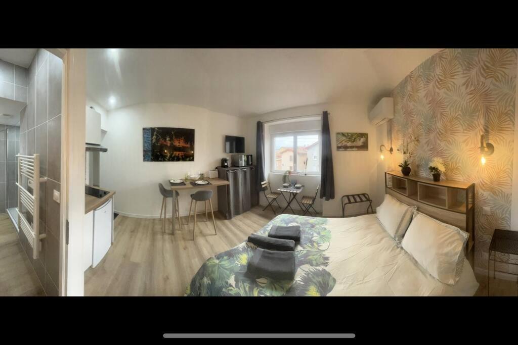 Verdi Studio Cosy Au Calme Parking Gratuit Шас-сюр-Рон Экстерьер фото